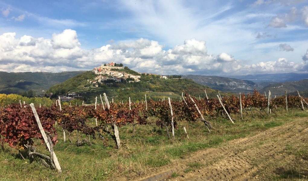 Visiting Istrian wineries, Motovun