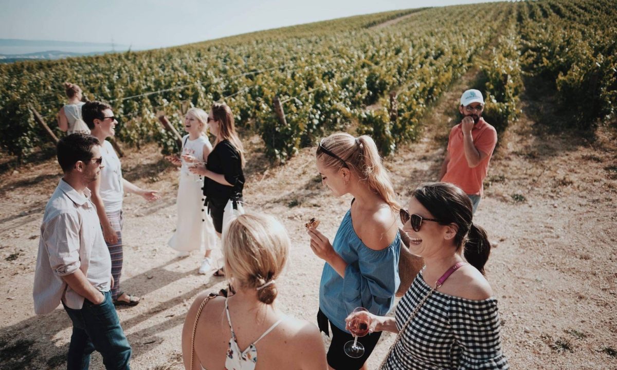 A Visitor's Guide to Croatian Wine Cheers Croatia Magazine