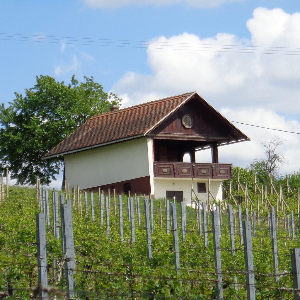 Weekend house in the vineyards of Međimurje