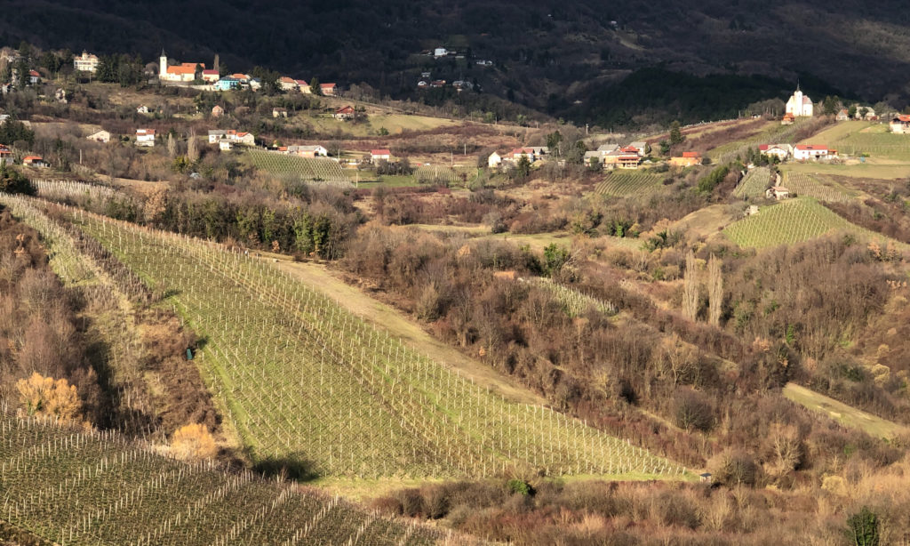 Plešivica wine region, Croatia
