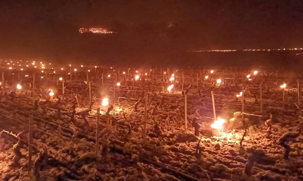 Bougies guard against frost in Burgundy