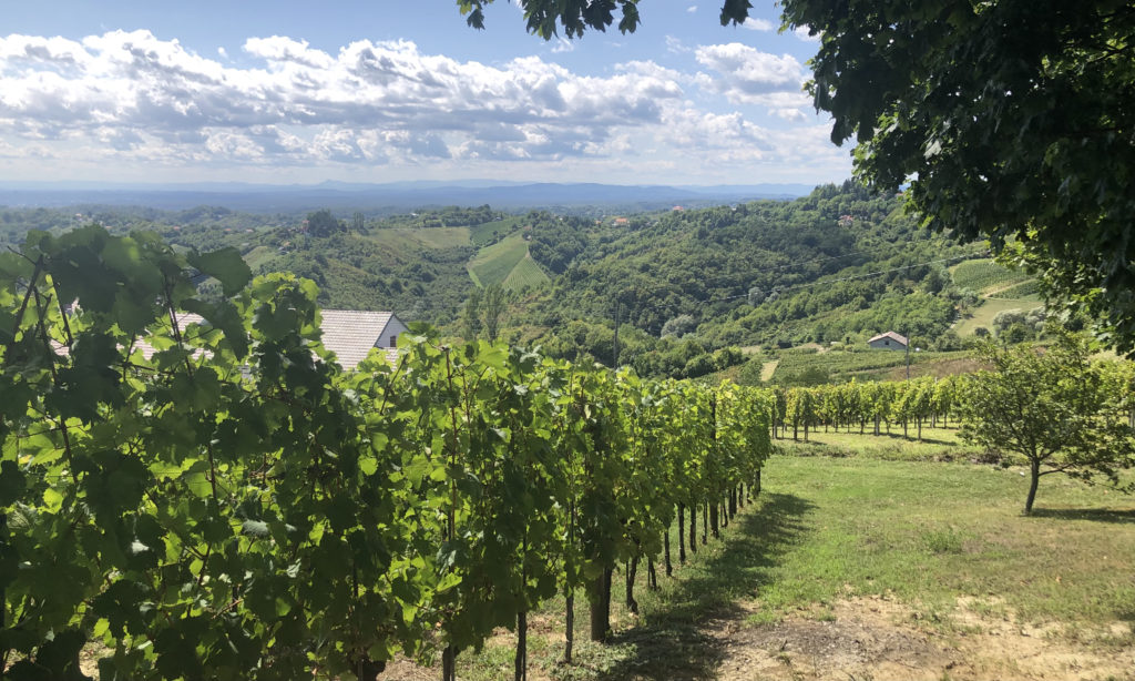 Korak winery, Plešivica, Croatia