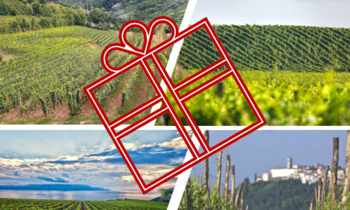 5 Questions to Solve Croatian Wine Gifting