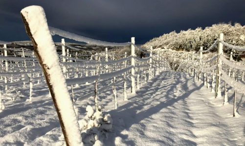 December: Fine-Tuning Before Bottling