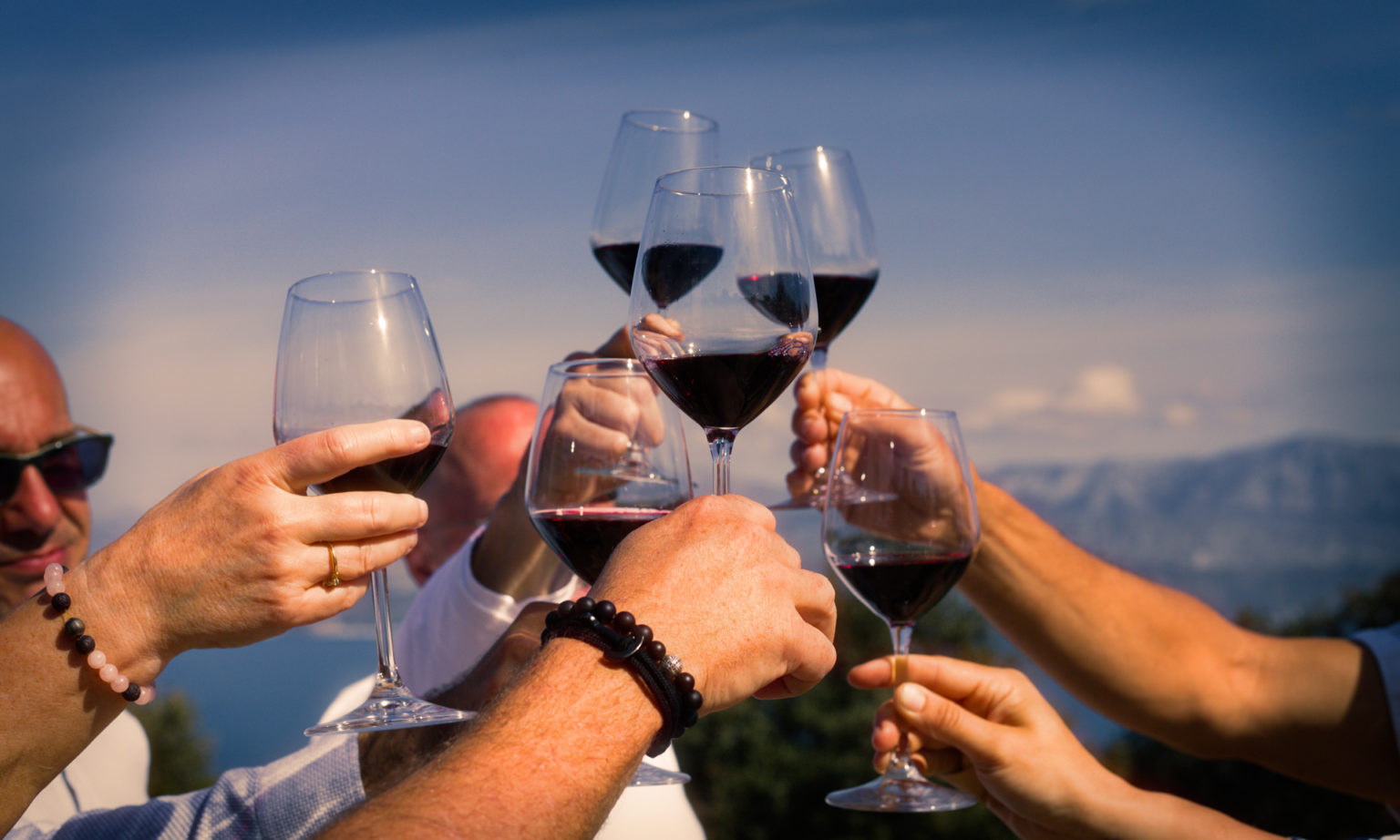 Making Sense of Croatian Grape Varieties Cheers Croatia Magazine