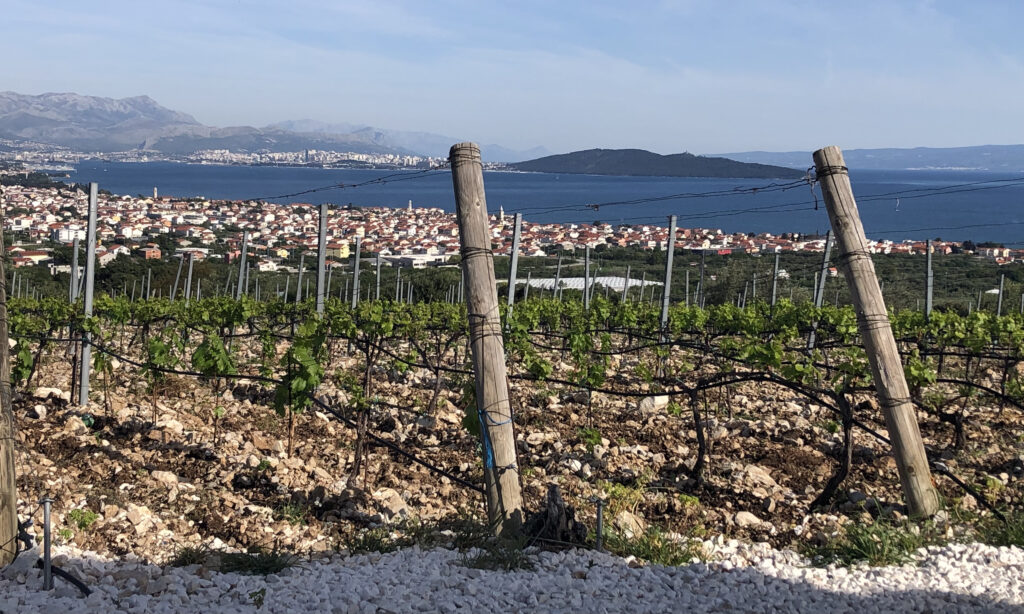 View from Kastel Sikuli