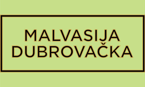 Malvasija Dubrovačka, the white grape of Dubrovnik